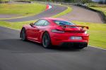 Porsche 718 Cayman GT4 2019 года (WW)